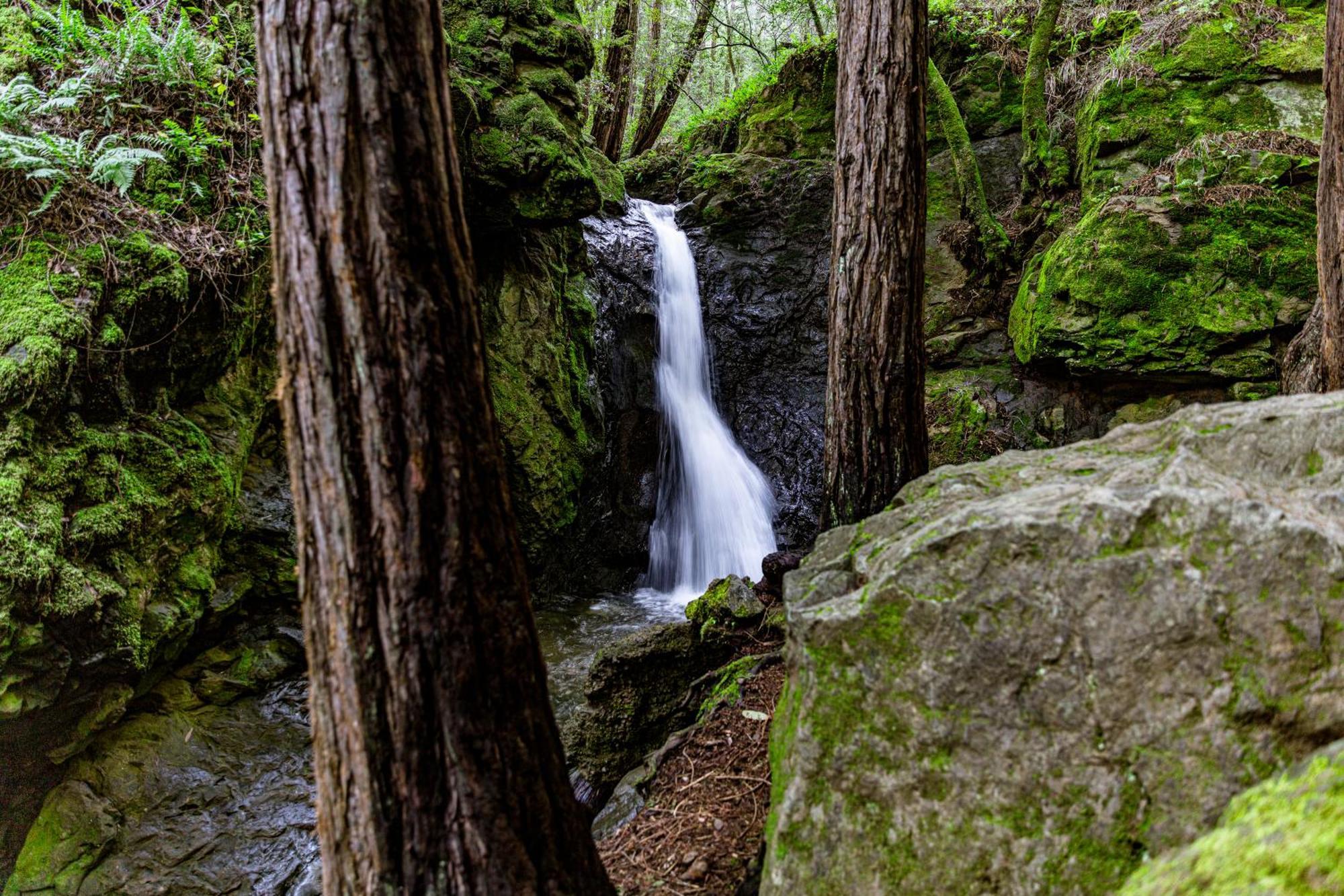 Enchanted Waterfall Sanctuary Mill Valley Eksteriør bilde